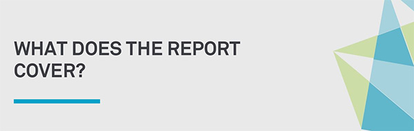What does the report cover?